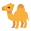 camel