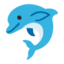 dolphin