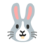 rabbit face