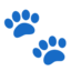 paw prints