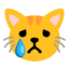 crying cat