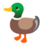 duck