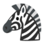 zebra