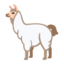 llama