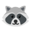 raccoon