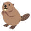 beaver