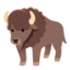 bison