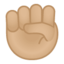 raised fist: medium-light skin tone