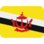 flag: Brunei