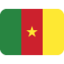 flag: Cameroon