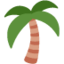 palm tree