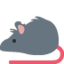 rat