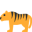 tiger