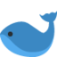 whale