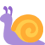 snail