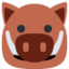 boar