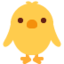 front-facing baby chick