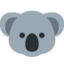 koala