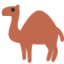 camel