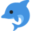 dolphin