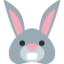 rabbit face