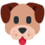 dog face