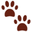 paw prints