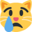 crying cat