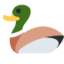 duck