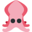 squid