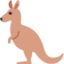 kangaroo