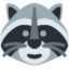 raccoon