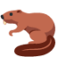 beaver