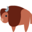 bison