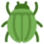 beetle