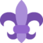 fleur de lys